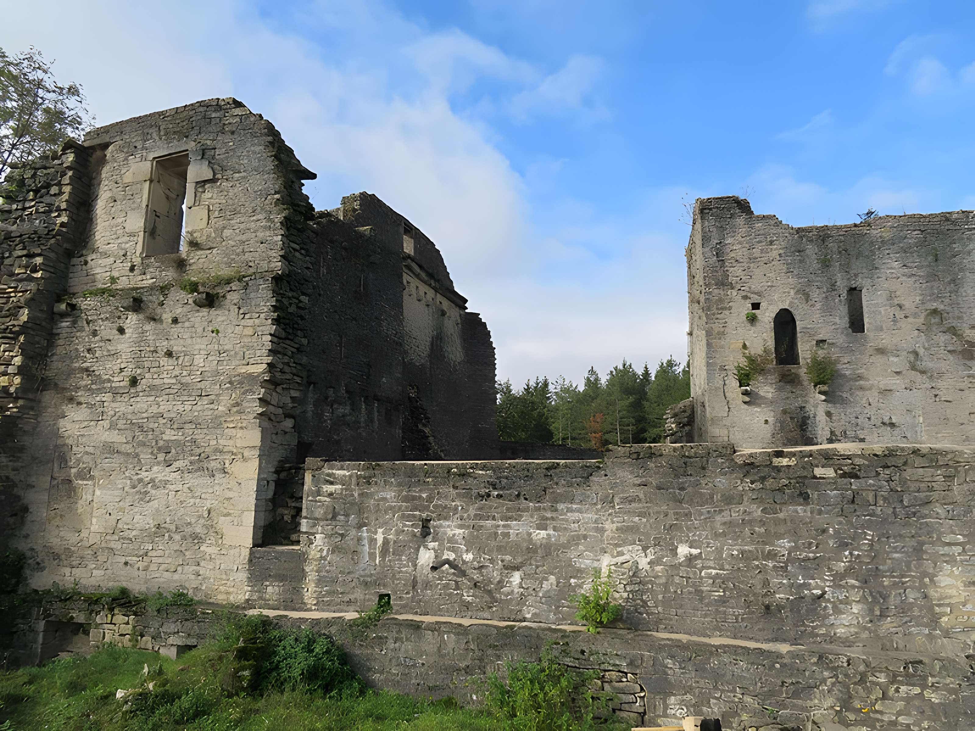 Ruines du Chateau de Présilly
