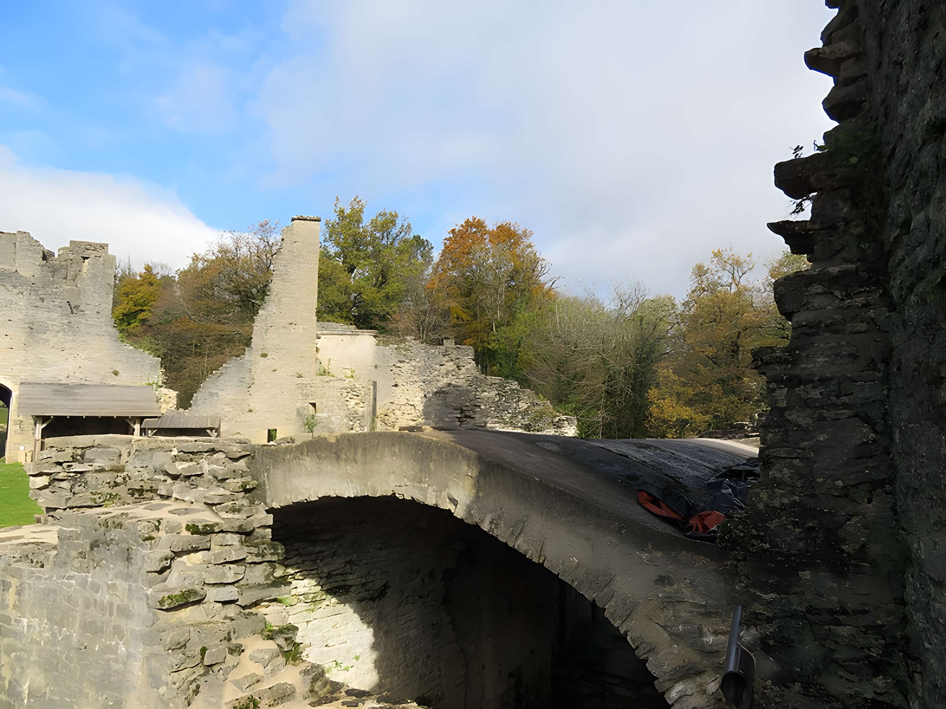Ruines du Chateau de Présilly