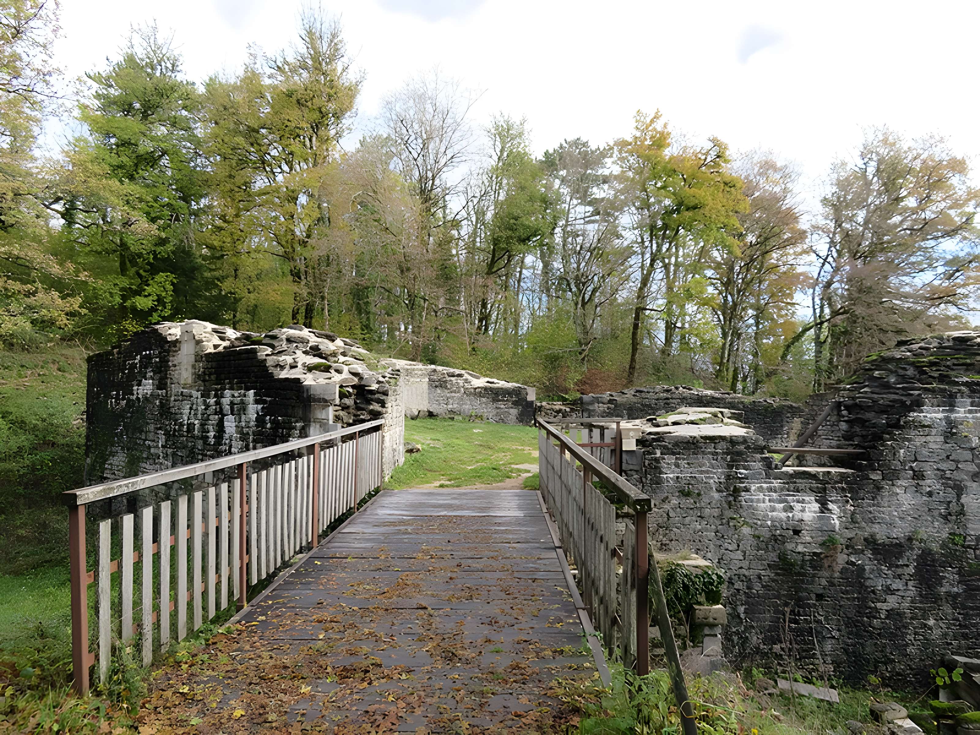 Ruines du Chateau de Présilly