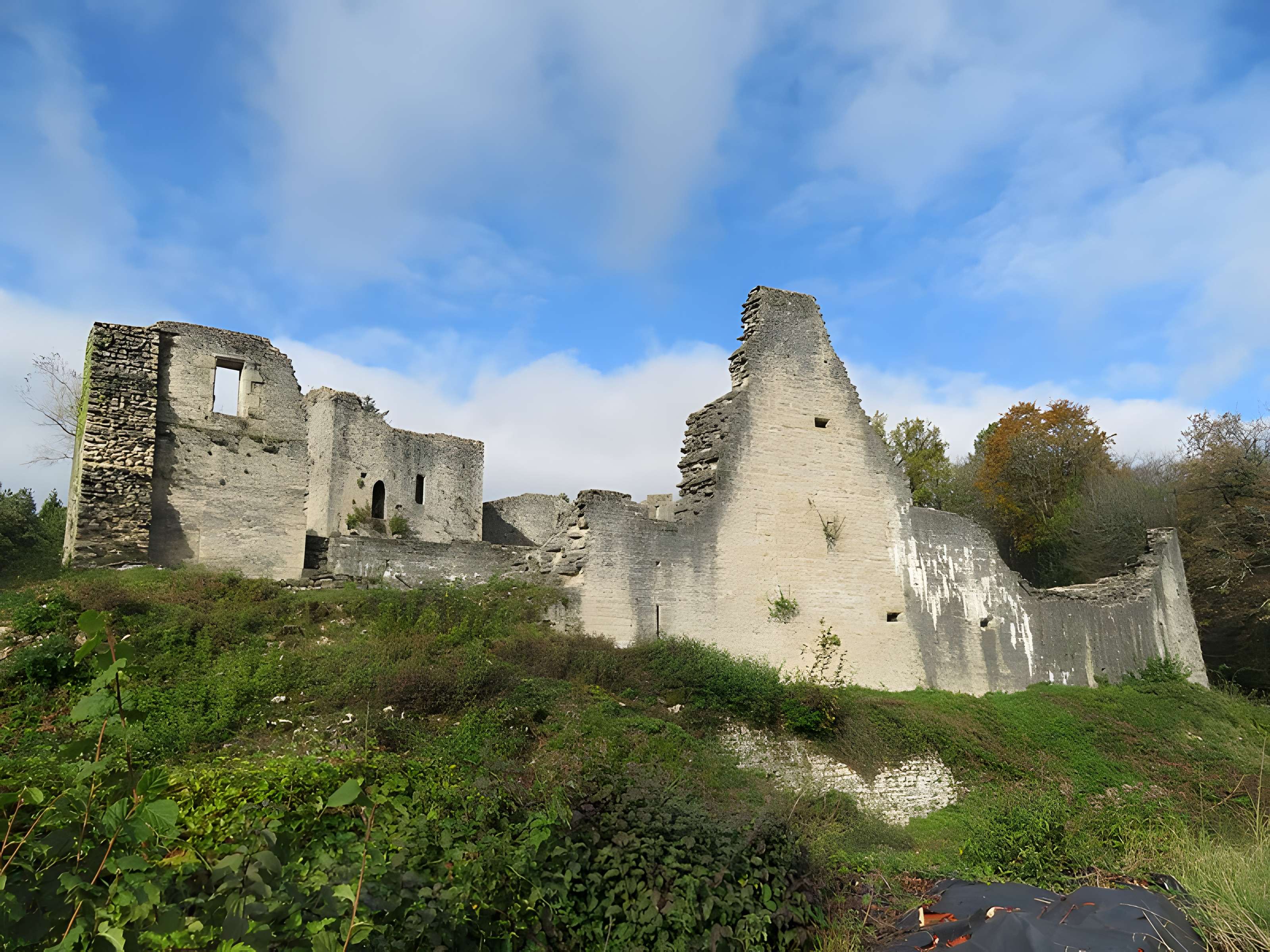 Ruines du Chateau de Présilly