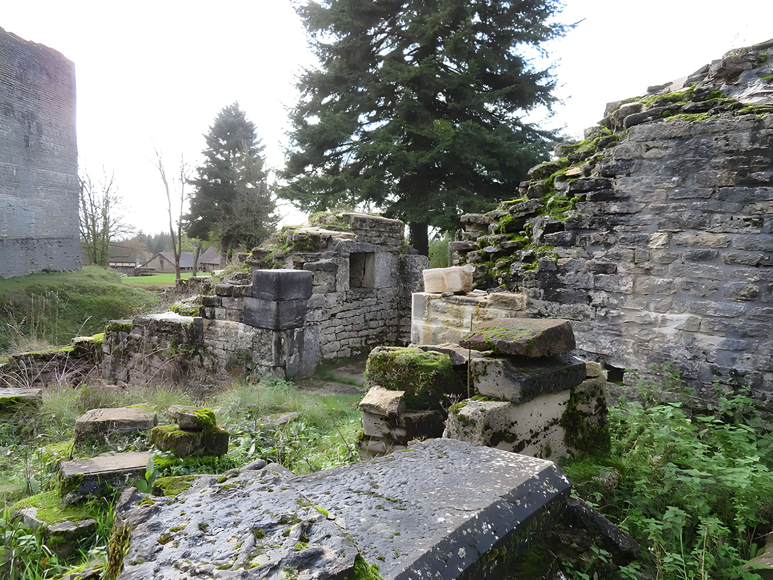 Ruines du Chateau de Présilly