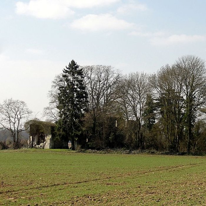 Photo de Ruines de la chapelle romane de Champlieu à Orrouy