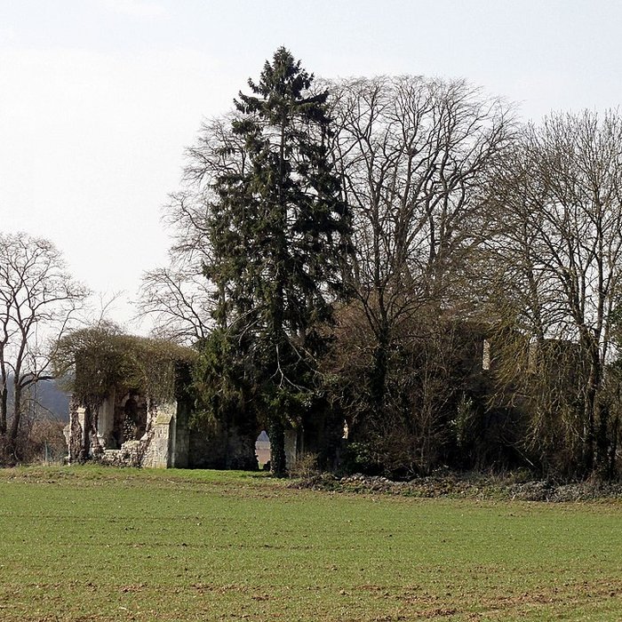 Photo de Ruines de la chapelle romane de Champlieu à Orrouy