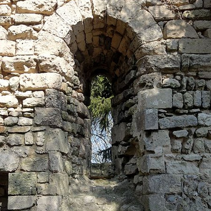 Photo de Ruines de la chapelle romane de Champlieu à Orrouy