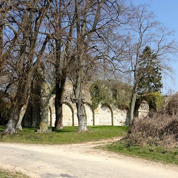 Ruines de la chapelle romane de Champlieu à Orrouy 
