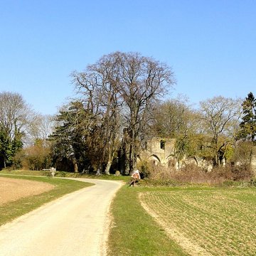 Ruines de la chapelle romane de Champlieu à Orrouy 