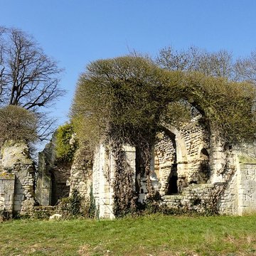 Ruines de la chapelle romane de Champlieu à Orrouy 