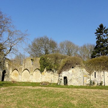 Ruines de la chapelle romane de Champlieu à Orrouy 