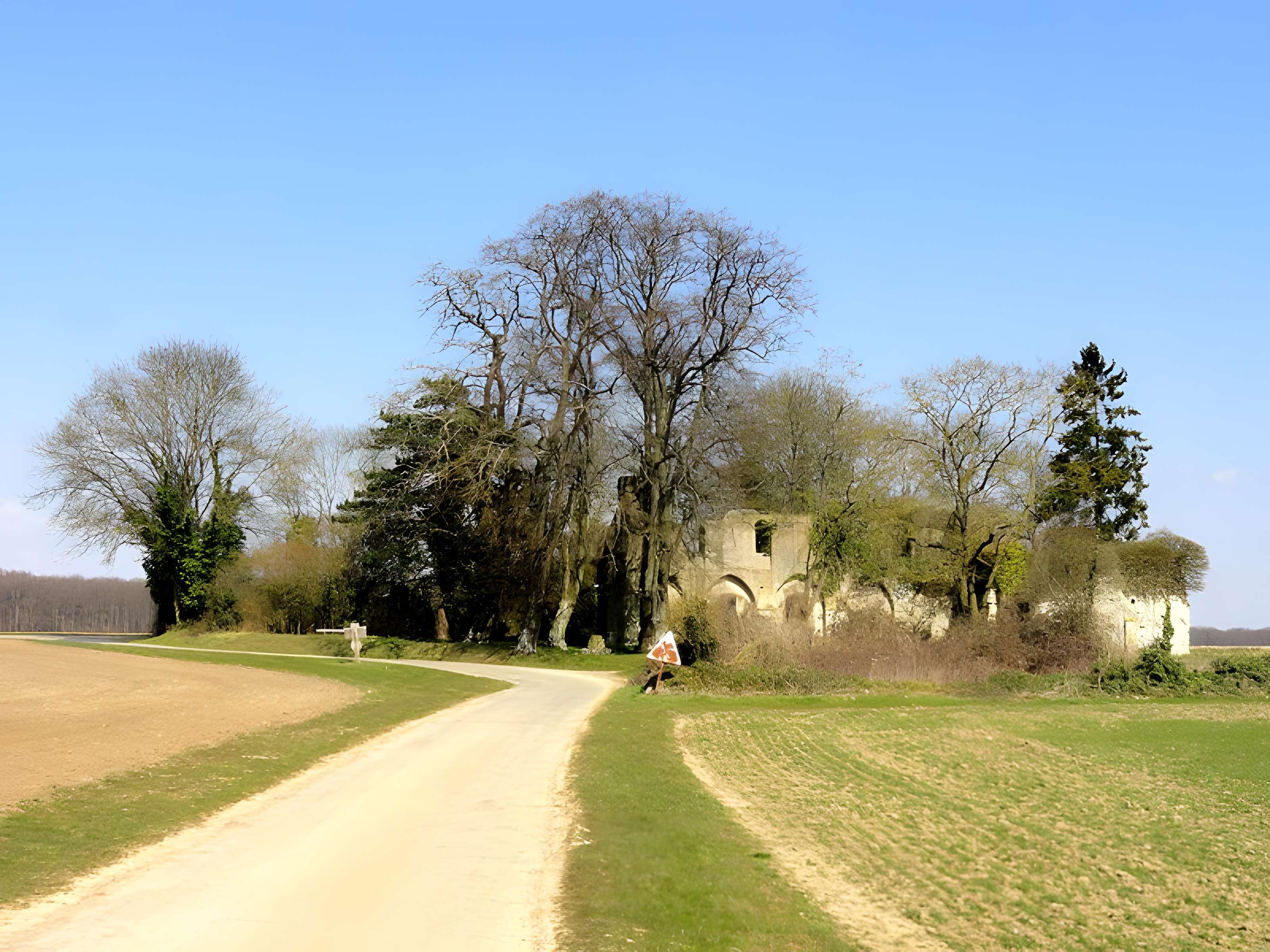 Ruines de la chapelle romane de Champlieu à Orrouy 
