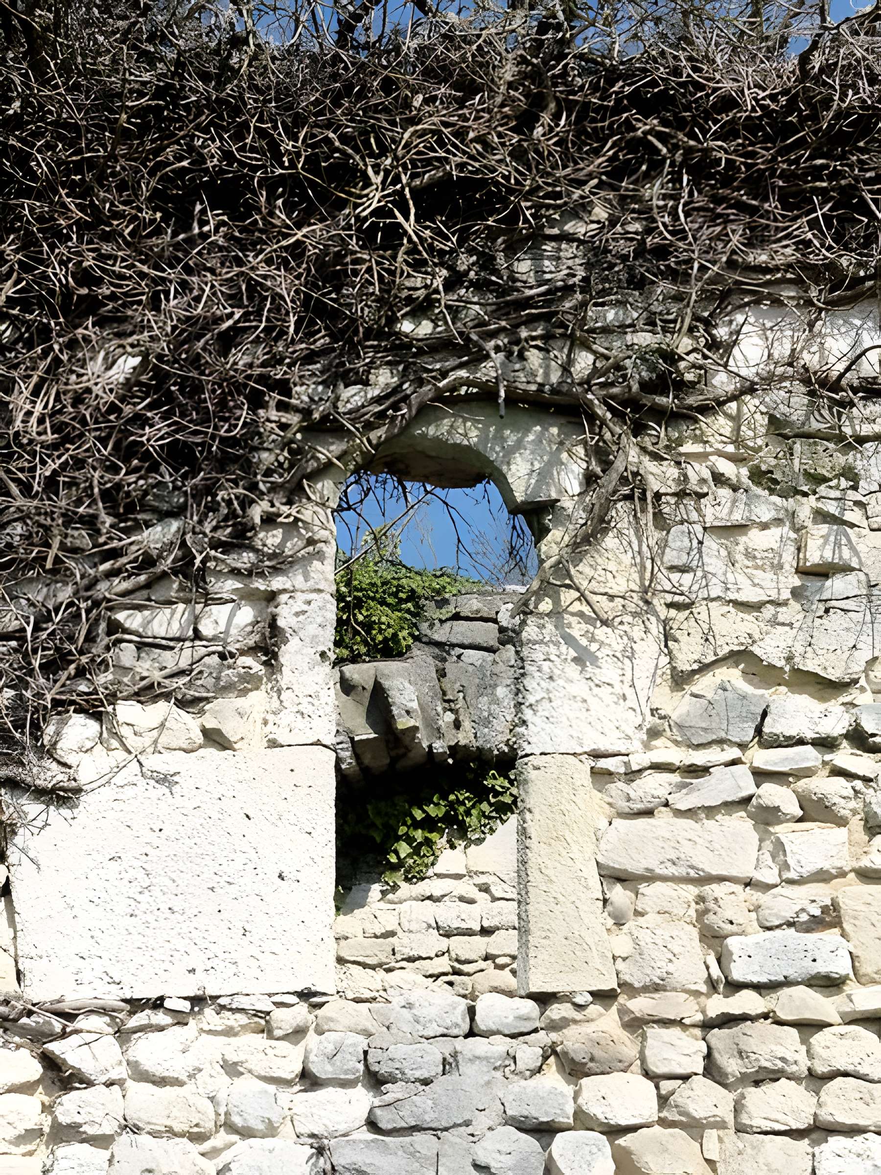 Ruines de la chapelle romane de Champlieu à Orrouy 