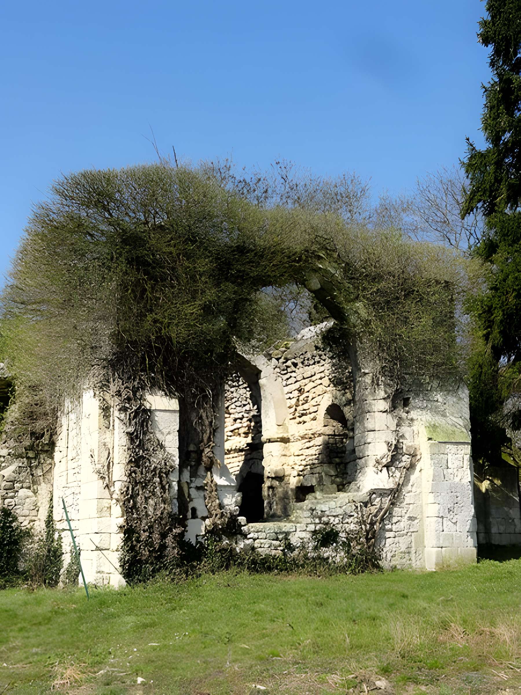 Ruines de la chapelle romane de Champlieu à Orrouy 