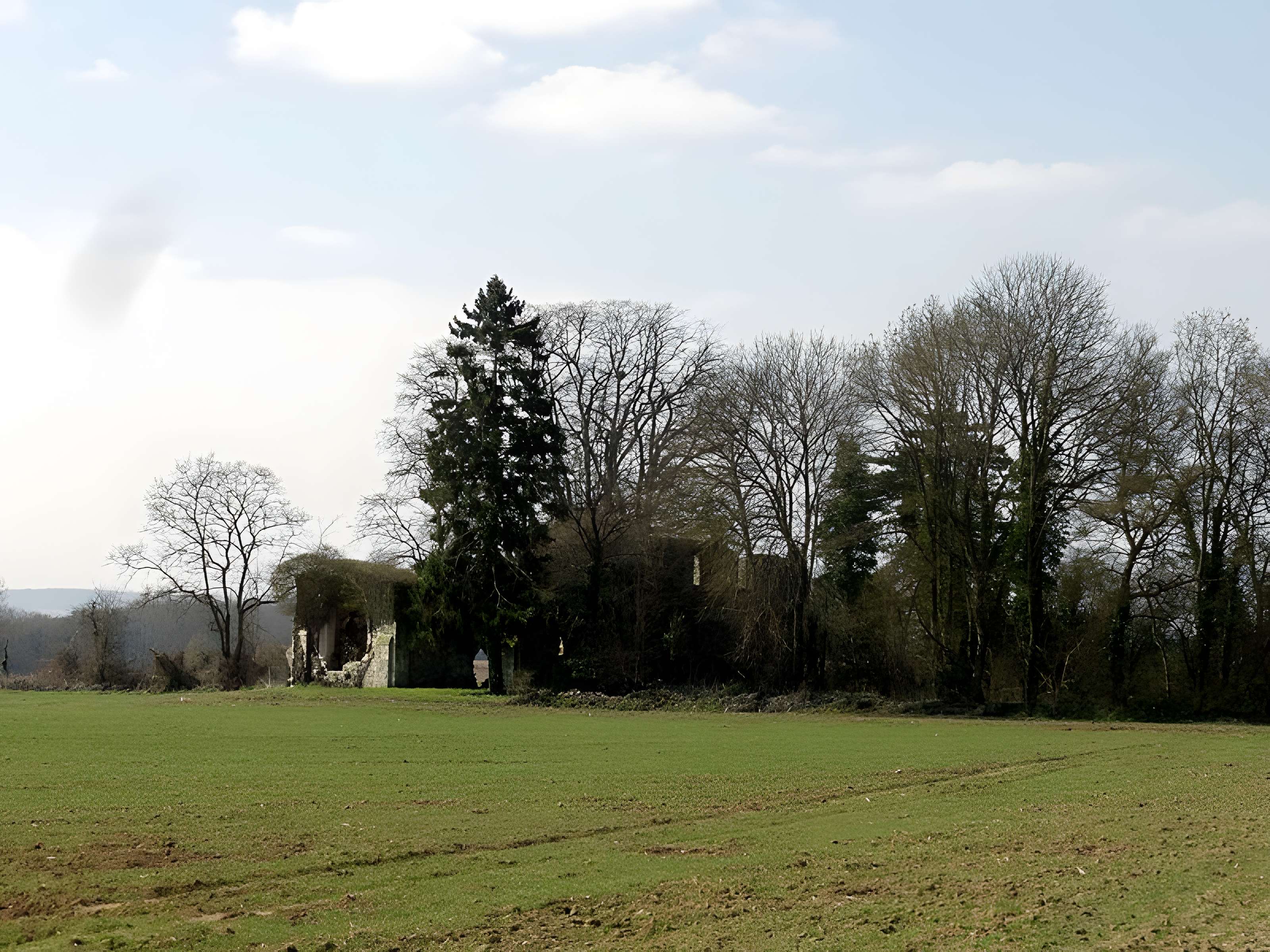 Ruines de la chapelle romane de Champlieu à Orrouy 
