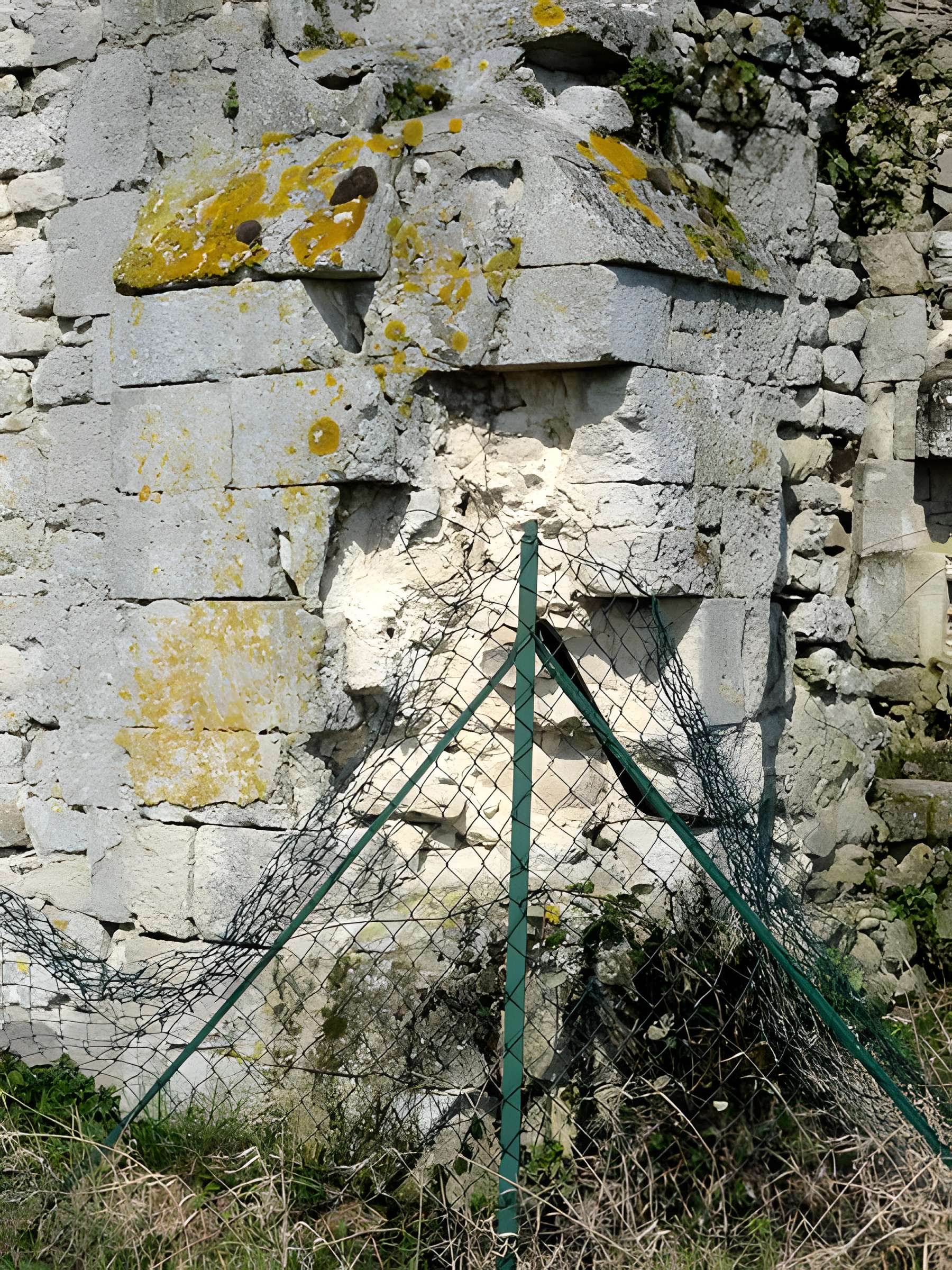 Ruines de la chapelle romane de Champlieu à Orrouy 