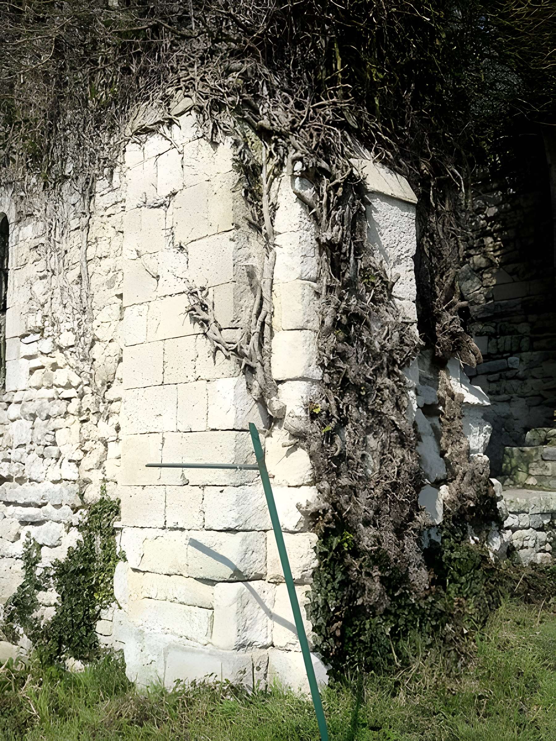 Ruines de la chapelle romane de Champlieu à Orrouy 