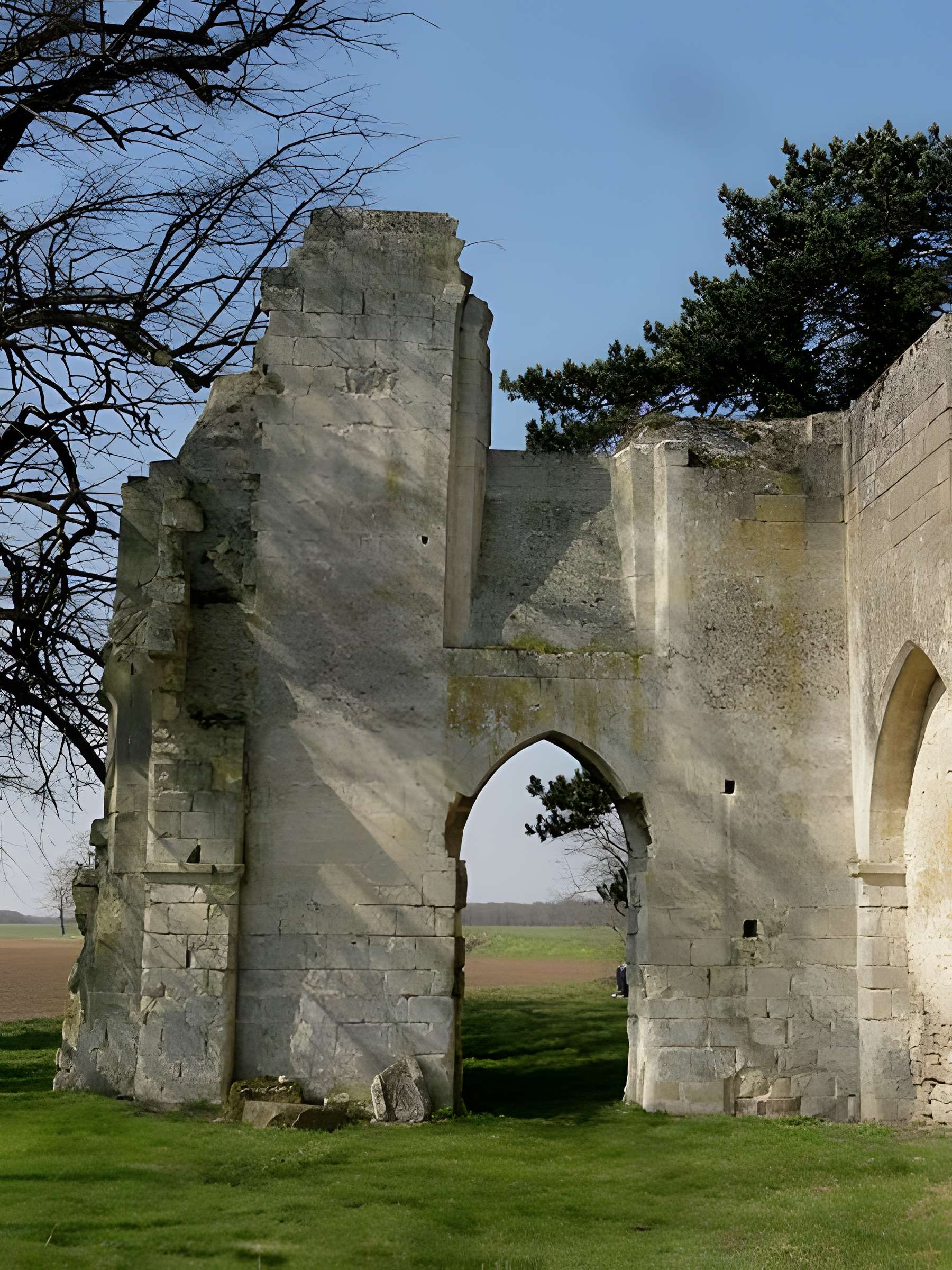 Ruines de la chapelle romane de Champlieu à Orrouy 