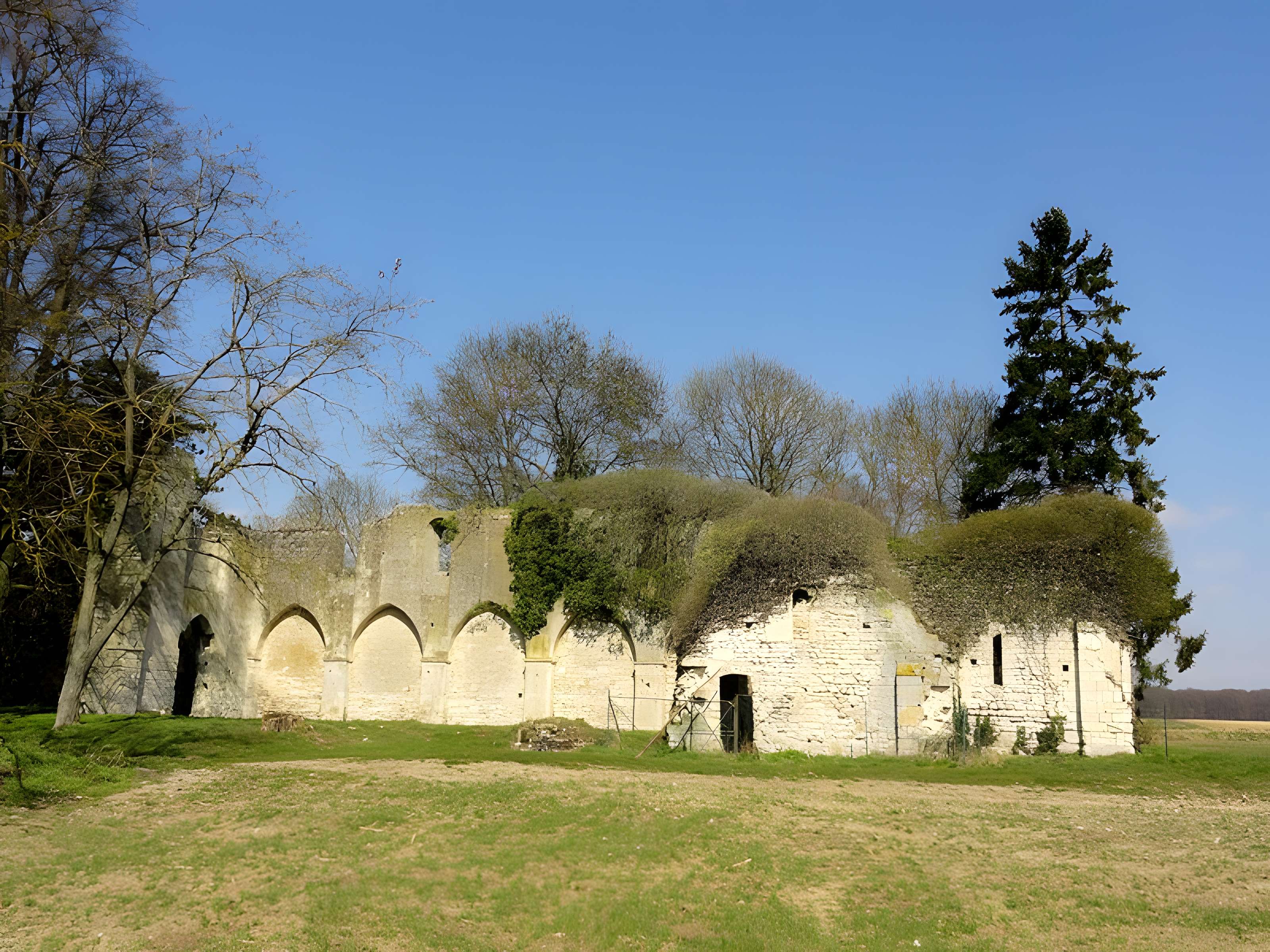 Ruines de la chapelle romane de Champlieu à Orrouy 