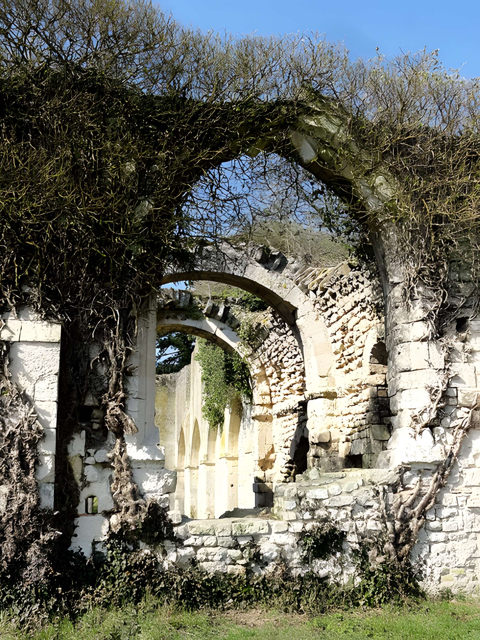 Ruines de la chapelle romane de Champlieu à Orrouy 