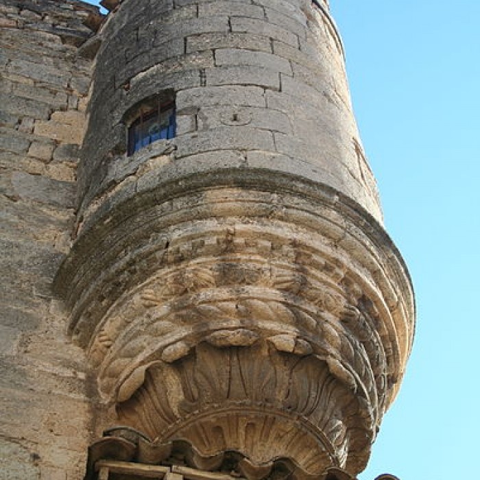 Photo de Château Montlaur