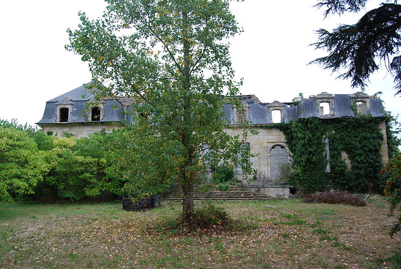 Photo de Château Morin