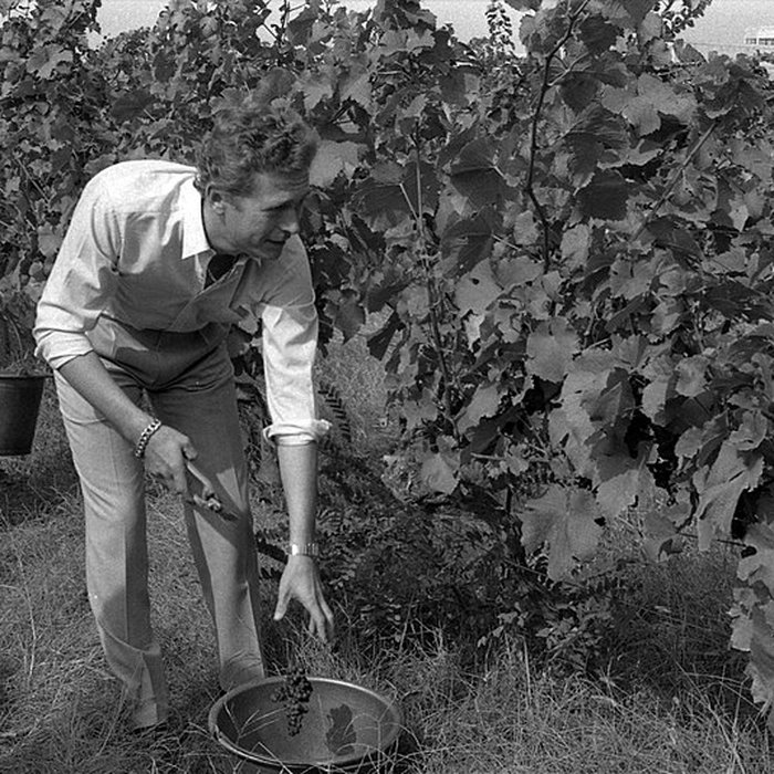 Photo de Château Saint-Simon, appelé aussi de Candie
