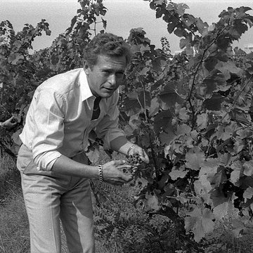 Château Saint-Simon, appelé aussi de Candie