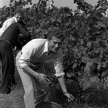 Château Saint-Simon, appelé aussi de Candie