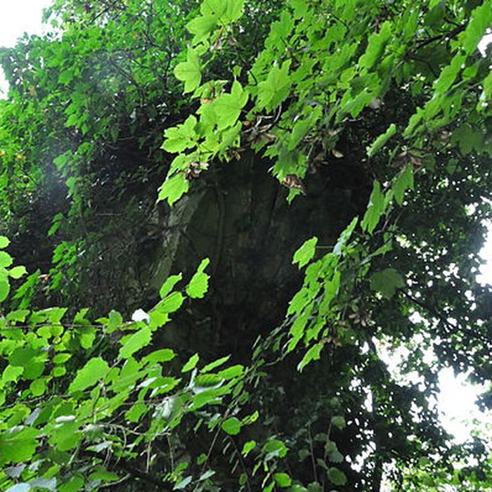 Photo de Château-Dessus de Chauvirey-le-Châtel