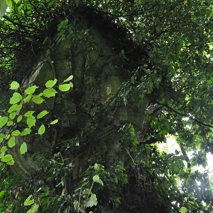 Photo de Château-Dessus de Chauvirey-le-Châtel