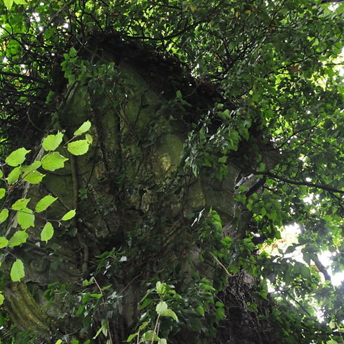 Photo de Château-Dessus de Chauvirey-le-Châtel