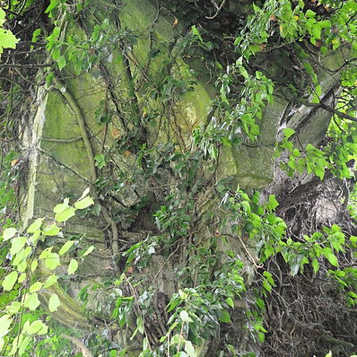 Photo de Château-Dessus de Chauvirey-le-Châtel