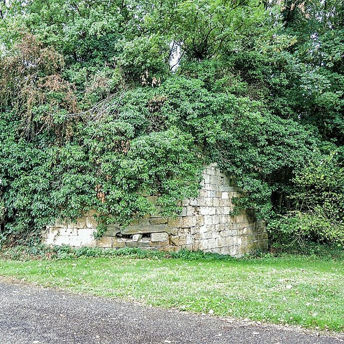 Photo de Château-Dessus de Chauvirey-le-Châtel