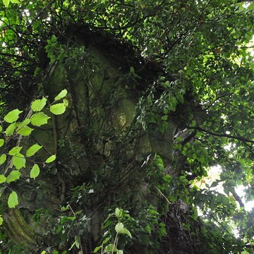 Château-Dessus de Chauvirey-le-Châtel