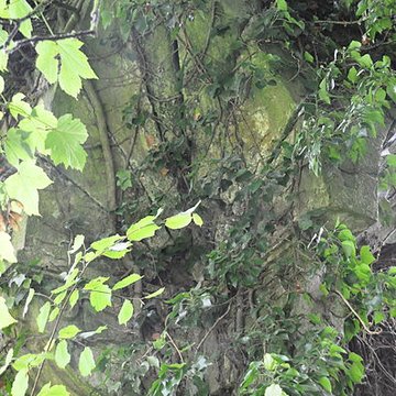 Château-Dessus de Chauvirey-le-Châtel