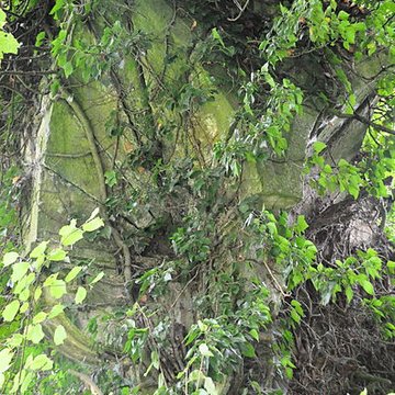 Château-Dessus de Chauvirey-le-Châtel