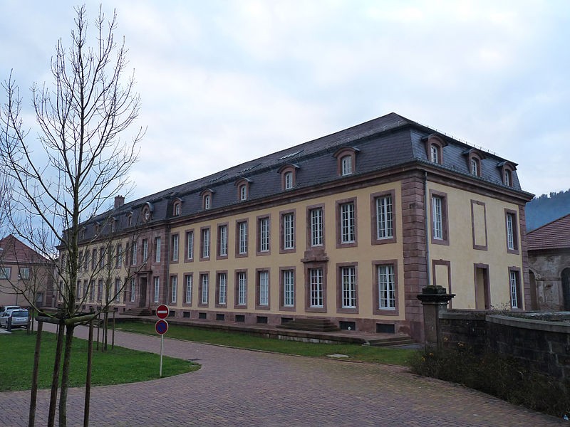 Photo de Châteaux des princes de Salm-Salm