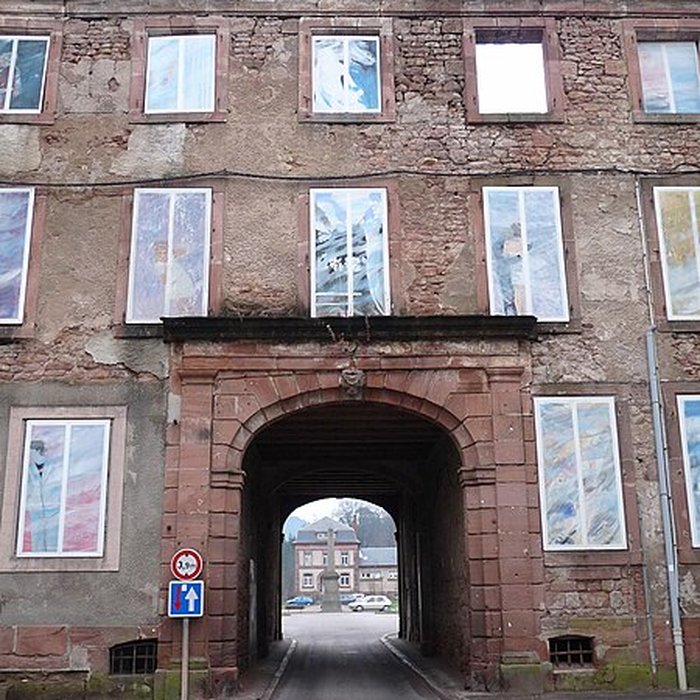 Photo de Châteaux des princes de Salm-Salm