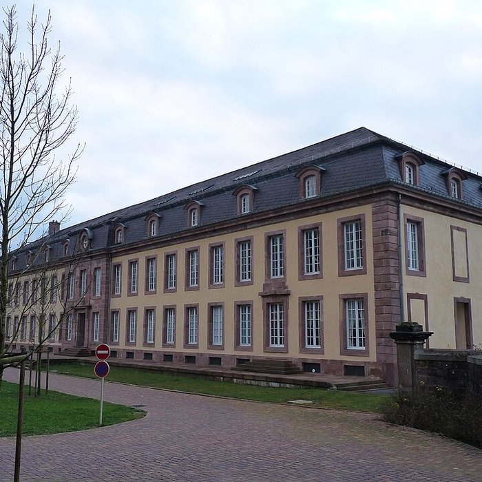 Photo de Châteaux des princes de Salm-Salm