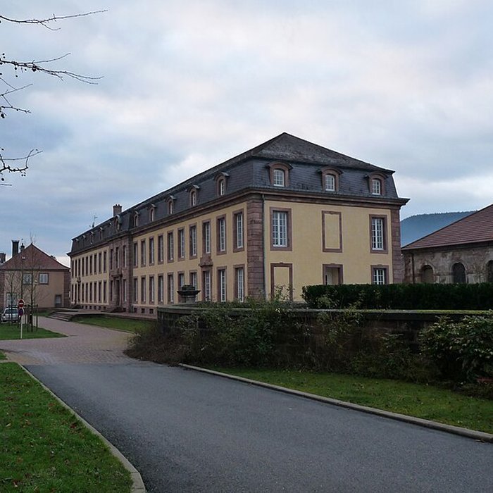 Photo de Châteaux des princes de Salm-Salm