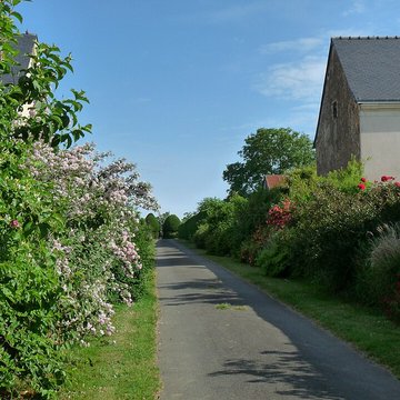 Cimetière communal de Bouère