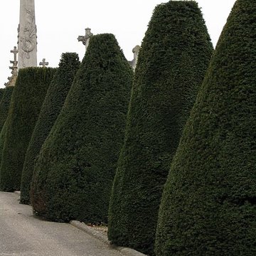 Cimetière de lEst de Metz