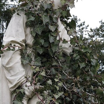 Cimetière de lEst de Metz