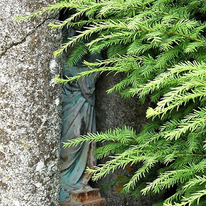 Photo de Cippe gallo-romain dIssoudun-Létrieix