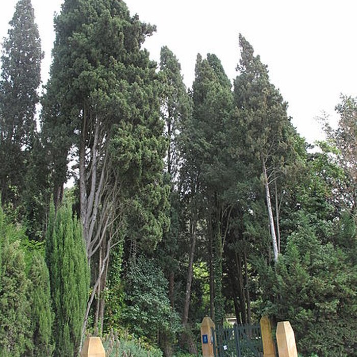 Photo de Visite de la Serre de la Madone