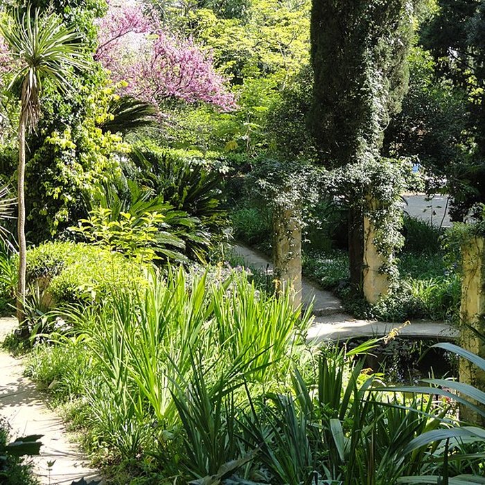 Photo de Visite de la Serre de la Madone