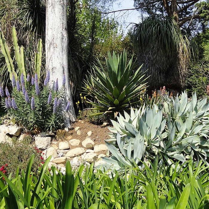 Photo de Visite de la Serre de la Madone