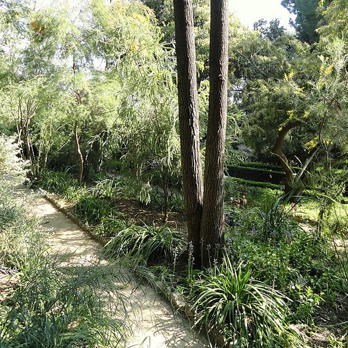 Photo de Visite de la Serre de la Madone