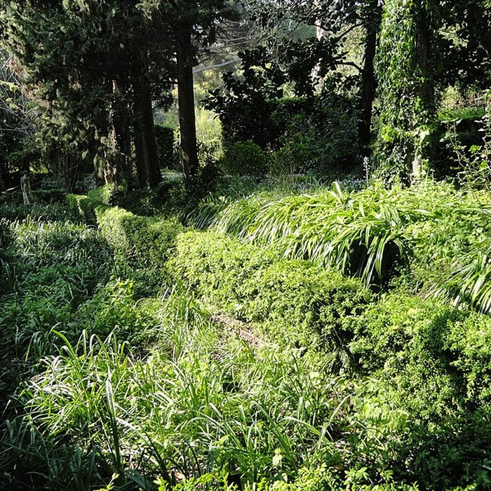 Photo de Visite de la Serre de la Madone