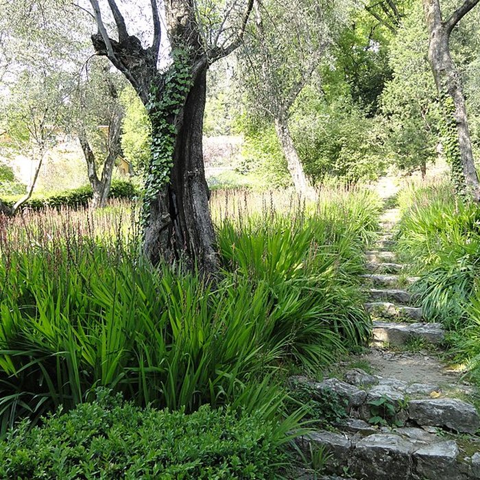 Photo de Visite de la Serre de la Madone