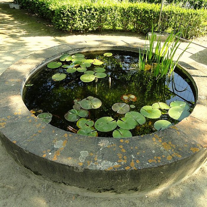 Photo de Visite de la Serre de la Madone