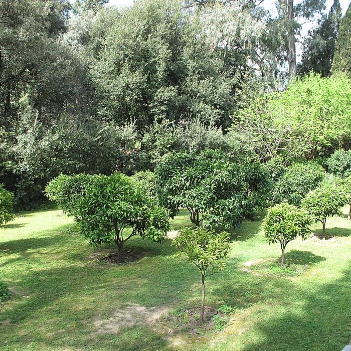 Photo de Visite de la Serre de la Madone